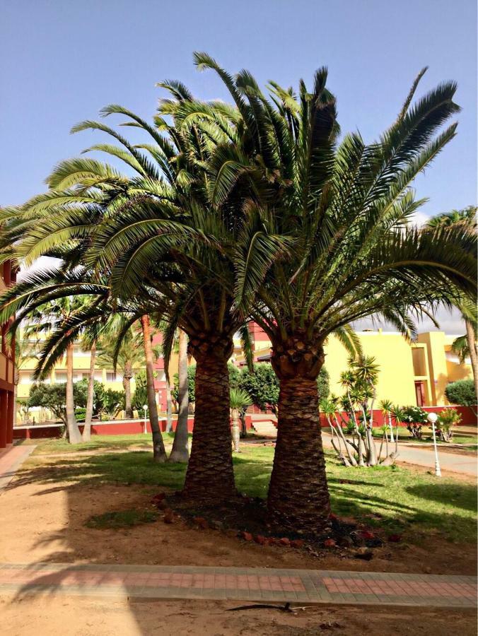 Appartamento Fuerteventura - La Caleta, Parques Holandes La Oliva Esterno foto